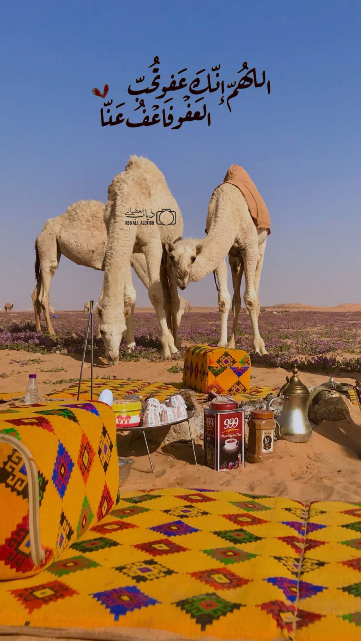 خلفية رقم 103
