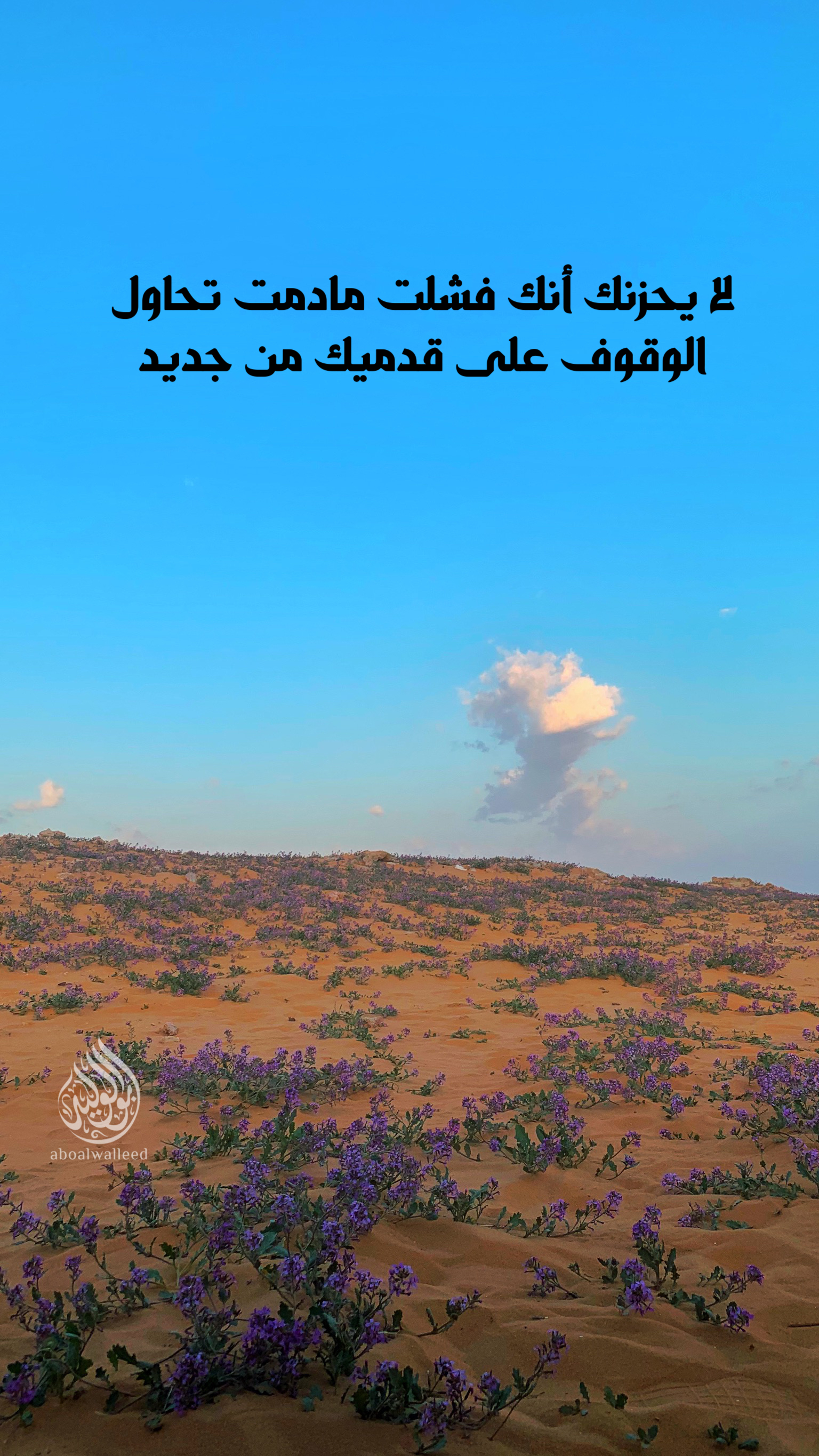 خلفية رقم 78