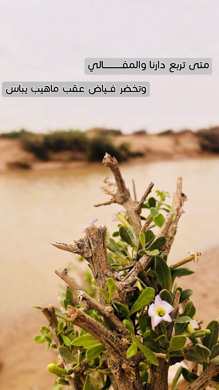 خلفية رقم 71