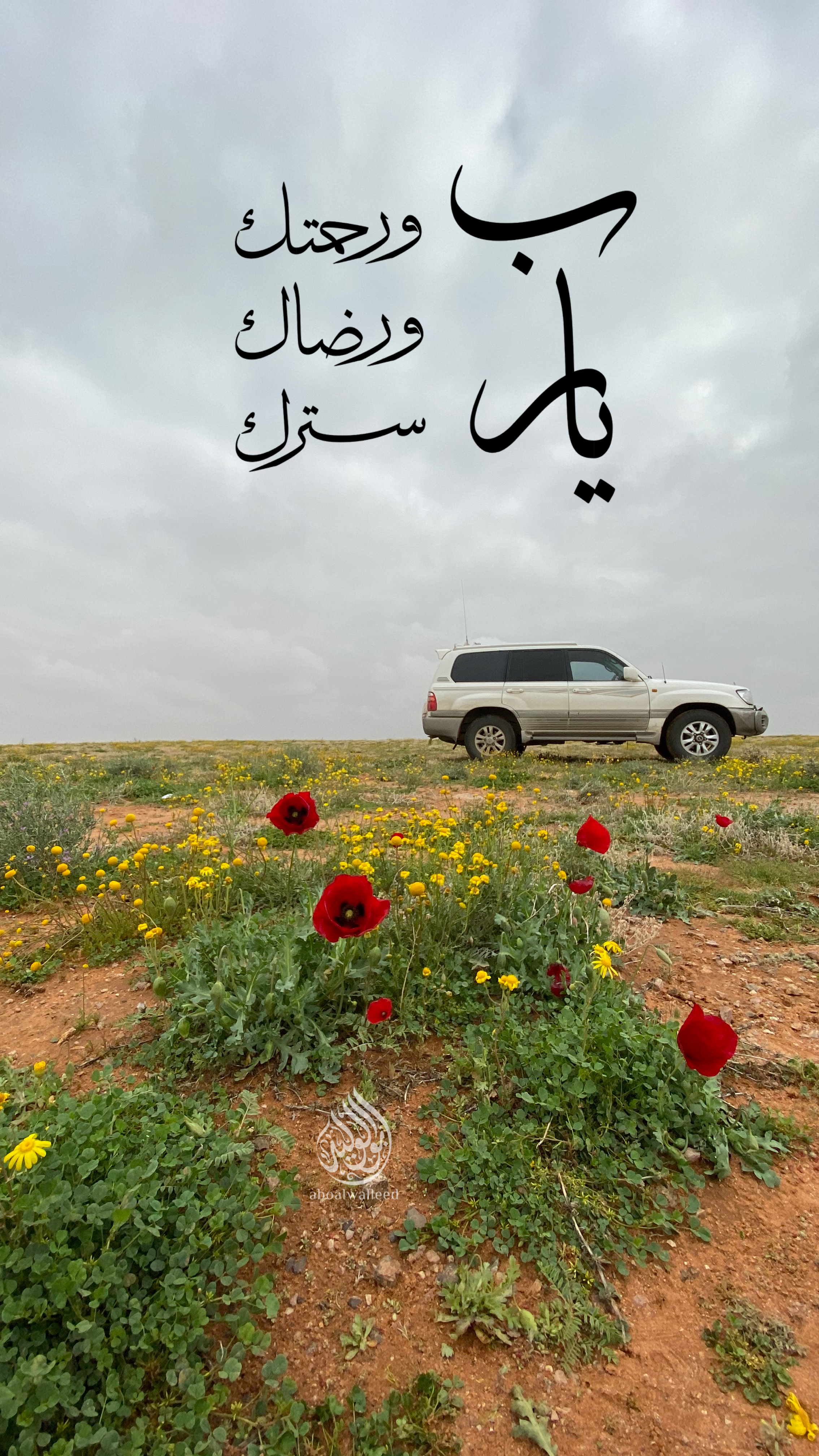 خلفية رقم 168