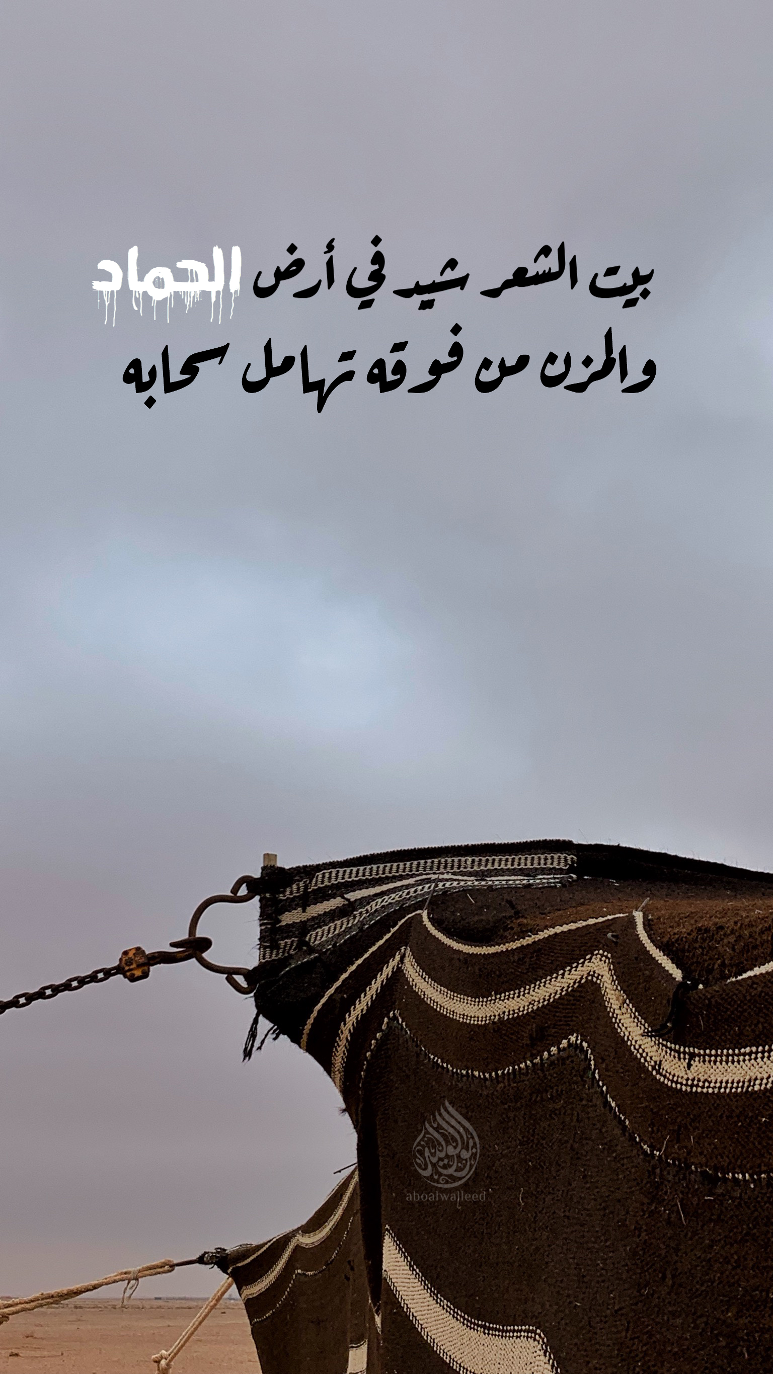 خلفية رقم 14