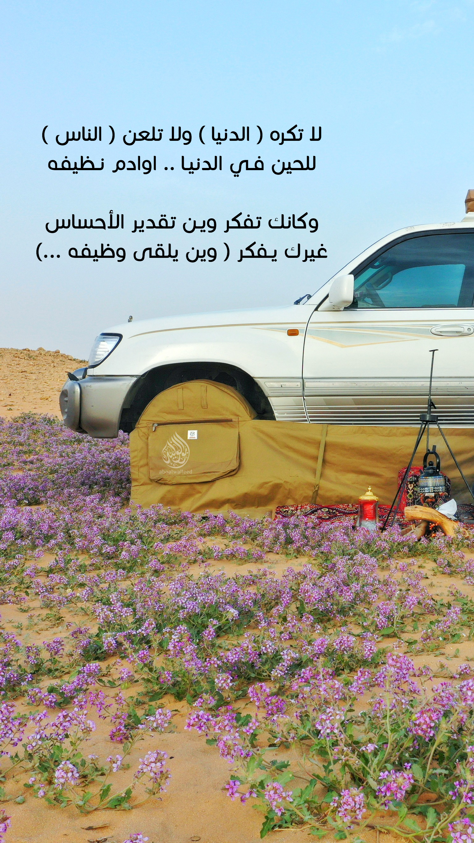 خلفية رقم 80