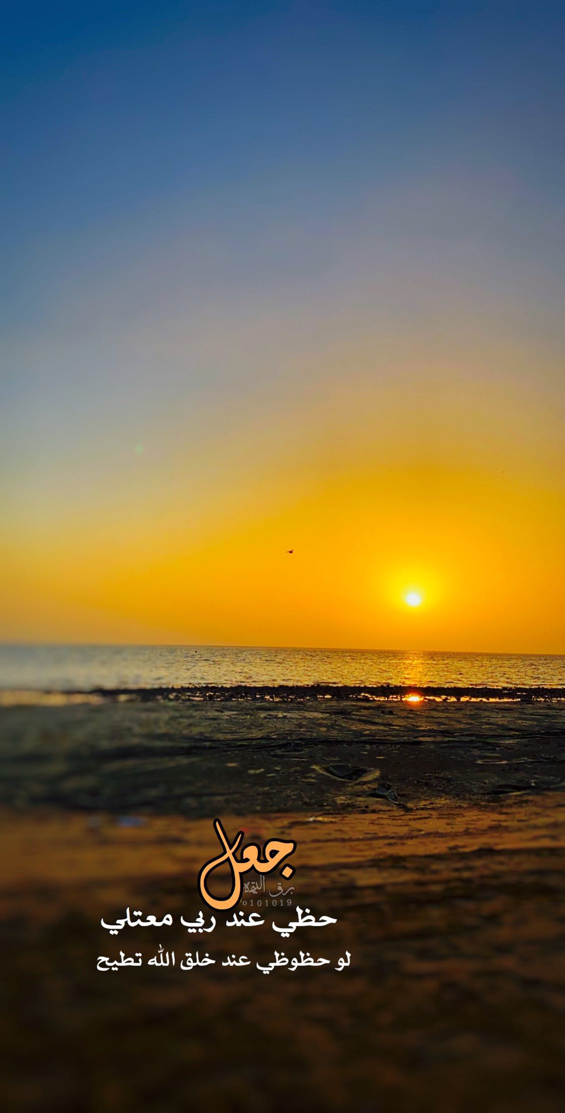 خلفية رقم 117