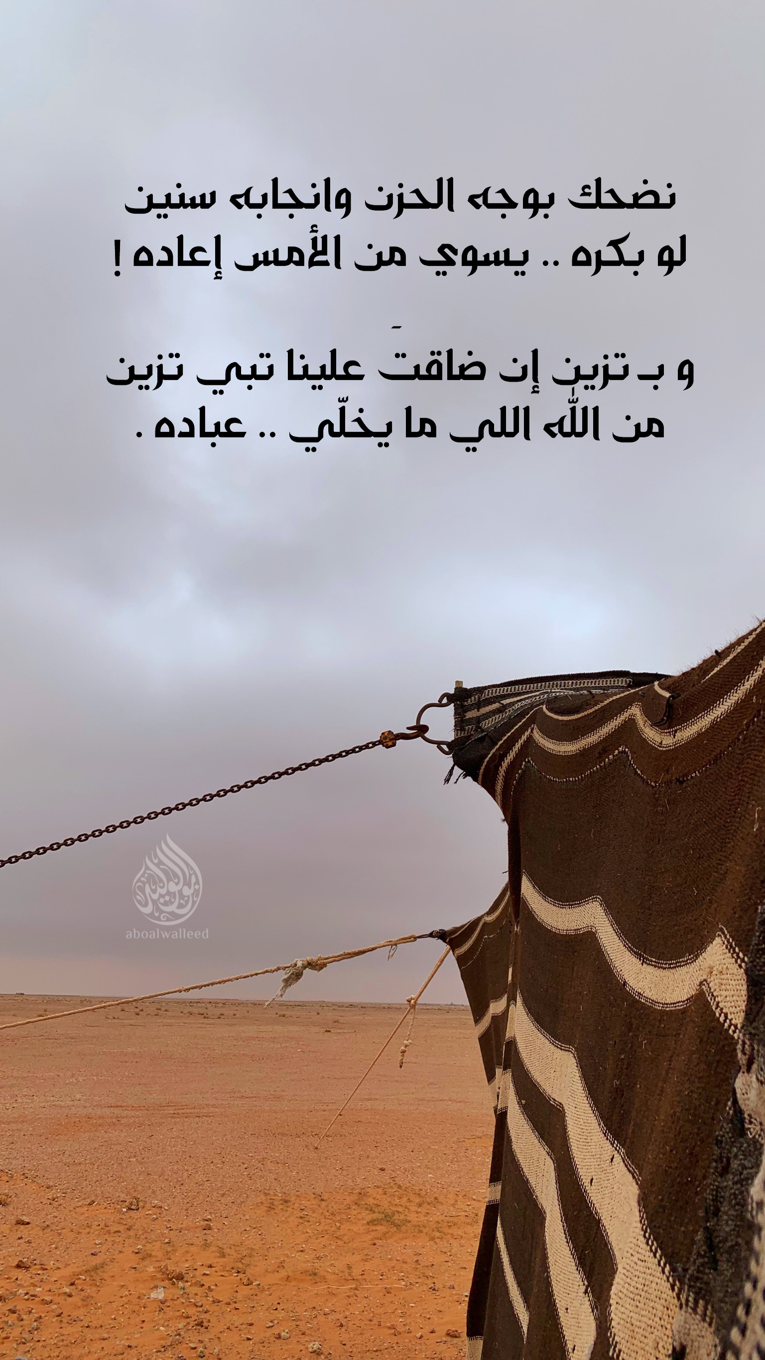 خلفية رقم 13