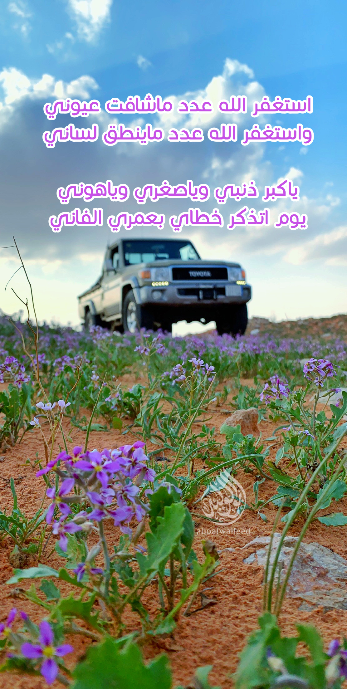 خلفية رقم 9