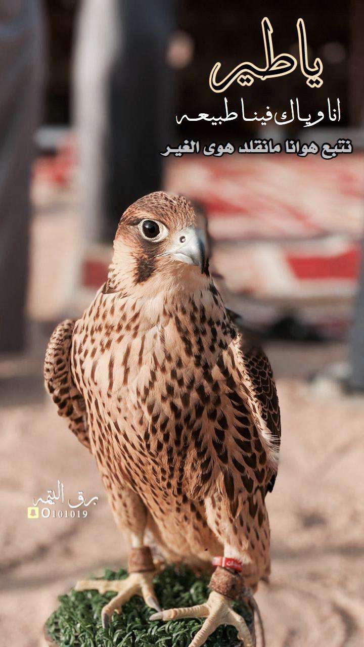 خلفية رقم 73