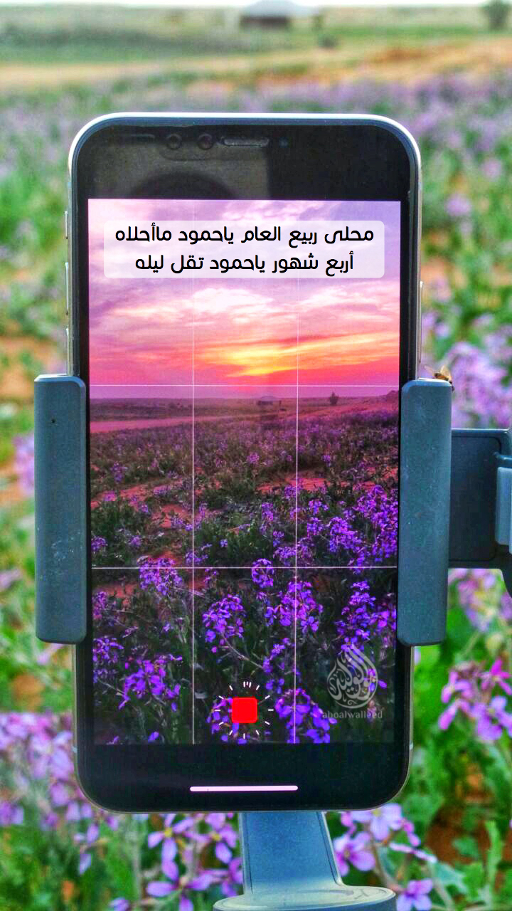 خلفية رقم 45