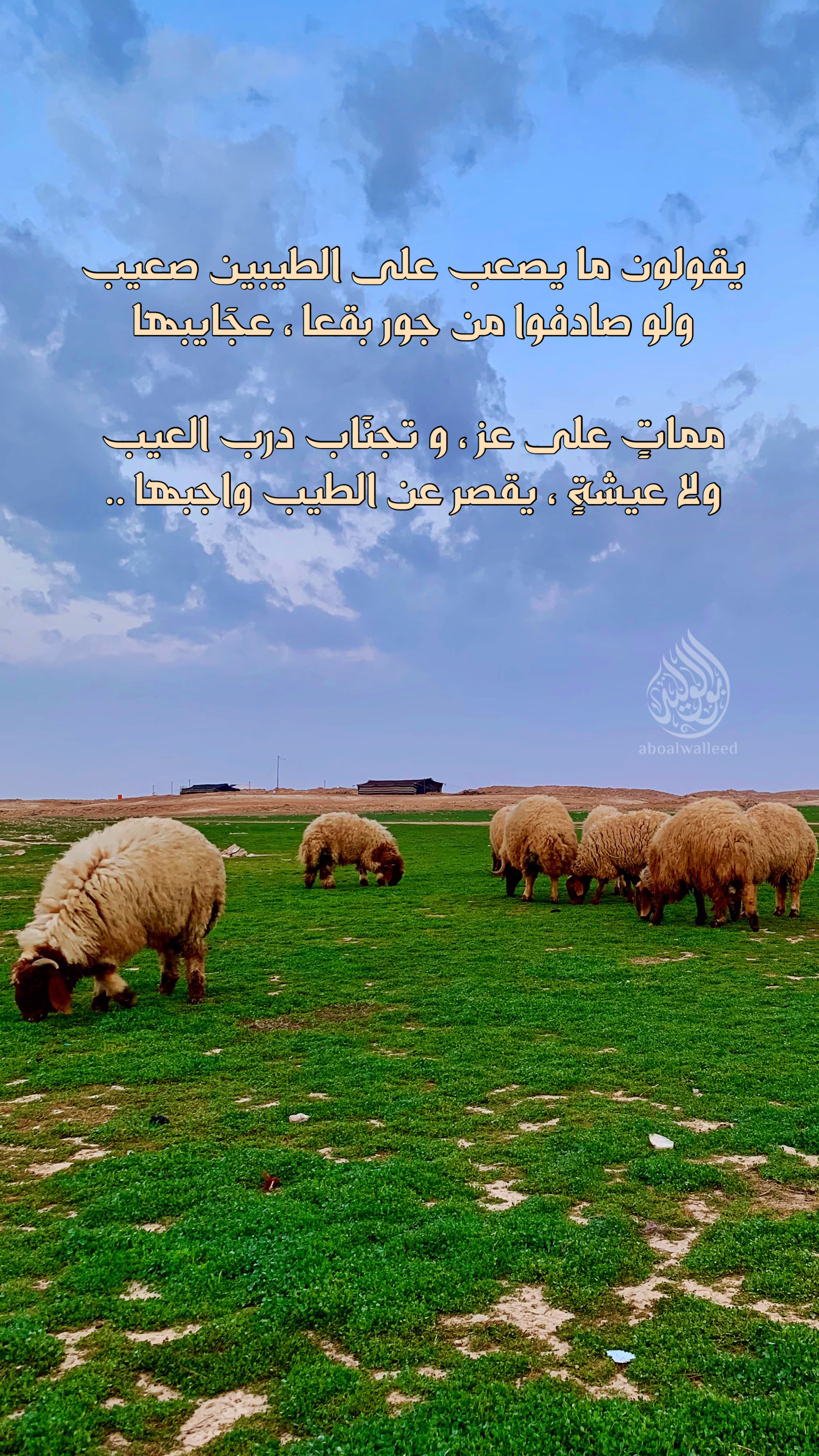 خلفية رقم 106