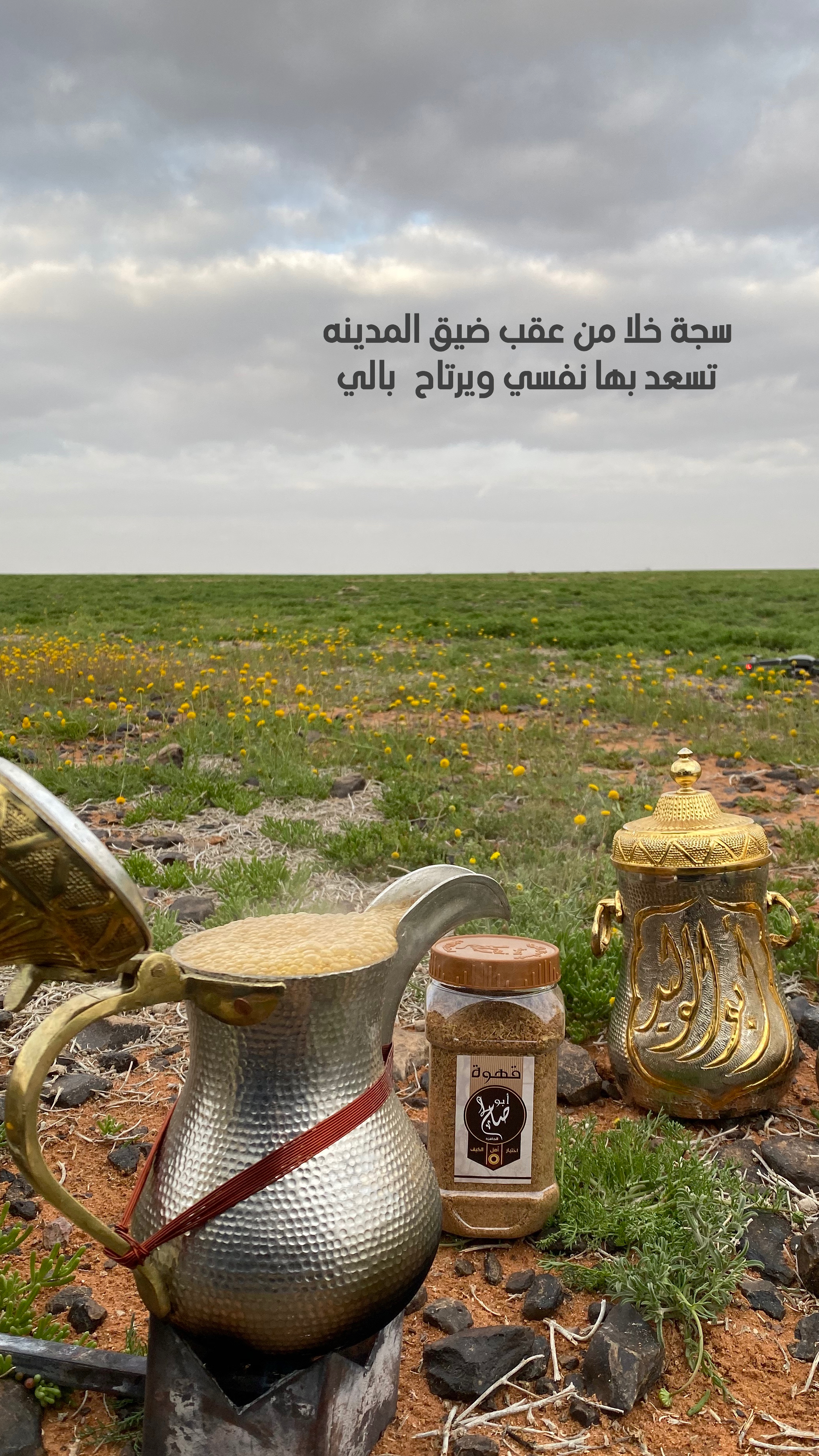خلفية رقم 169