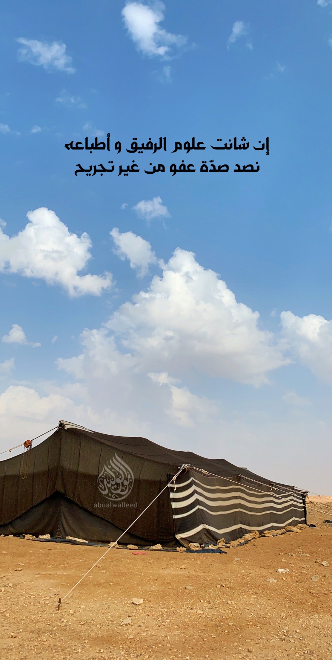 خلفية رقم 118