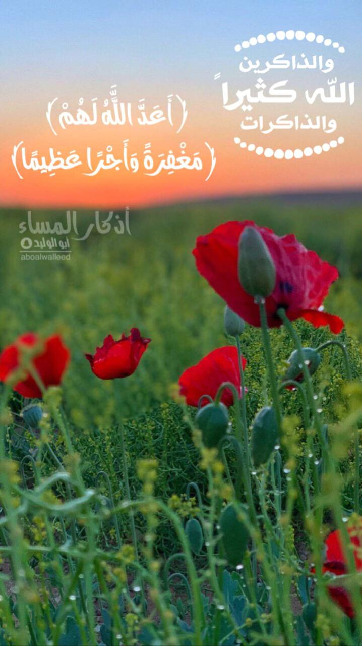 خلفية رقم 41
