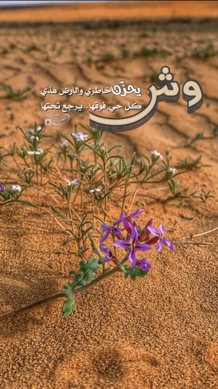 خلفية رقم 34
