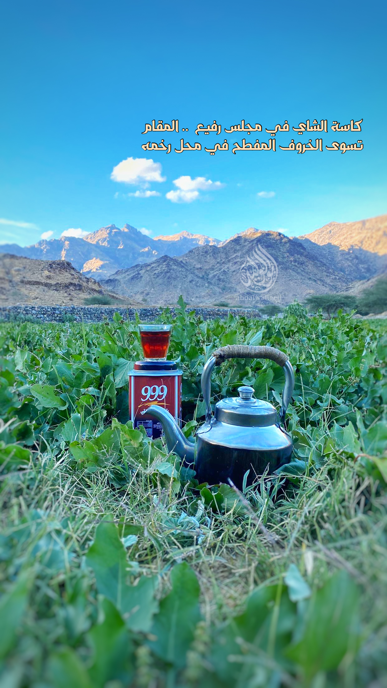 خلفية رقم 174