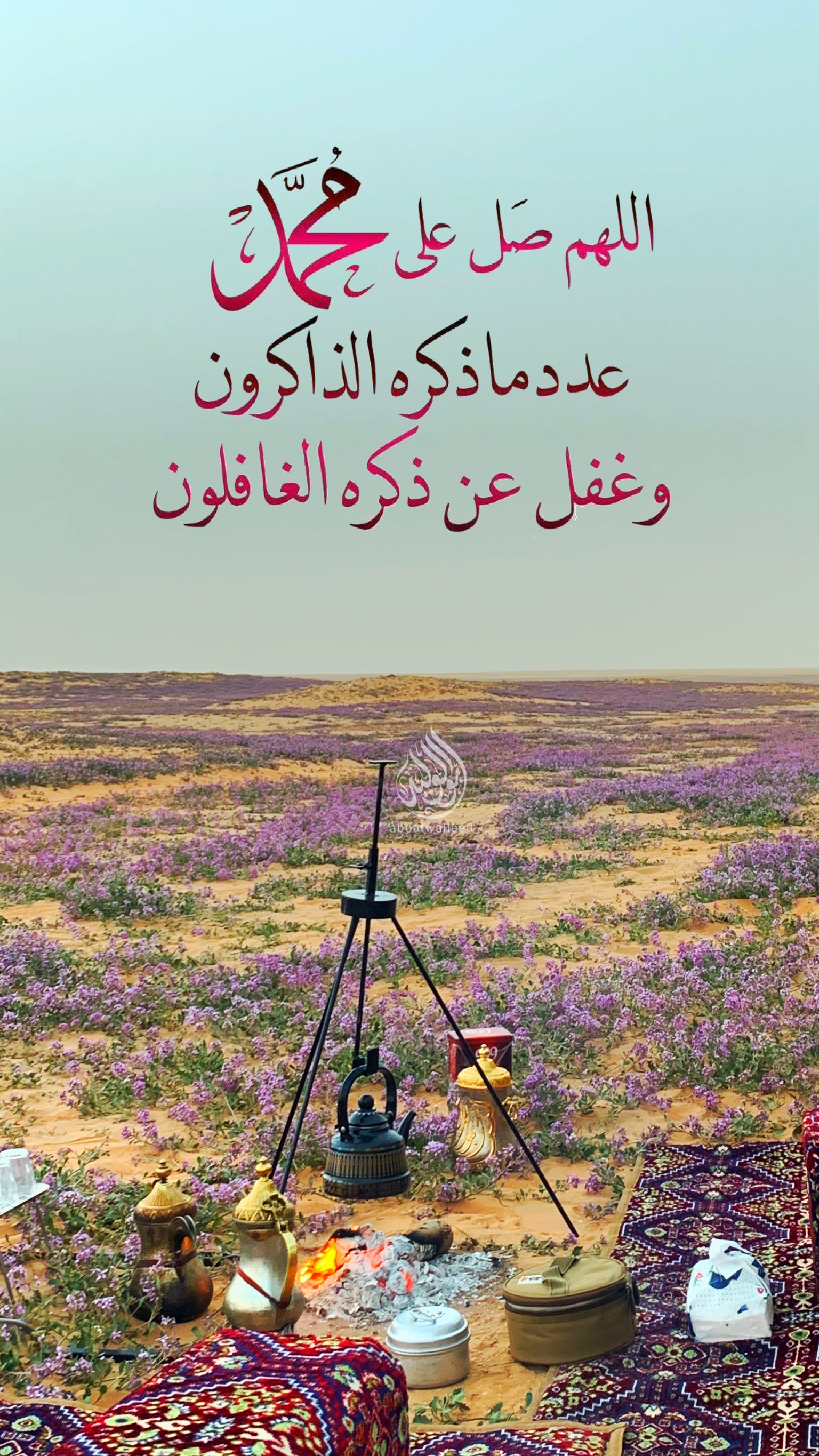 خلفية رقم 81