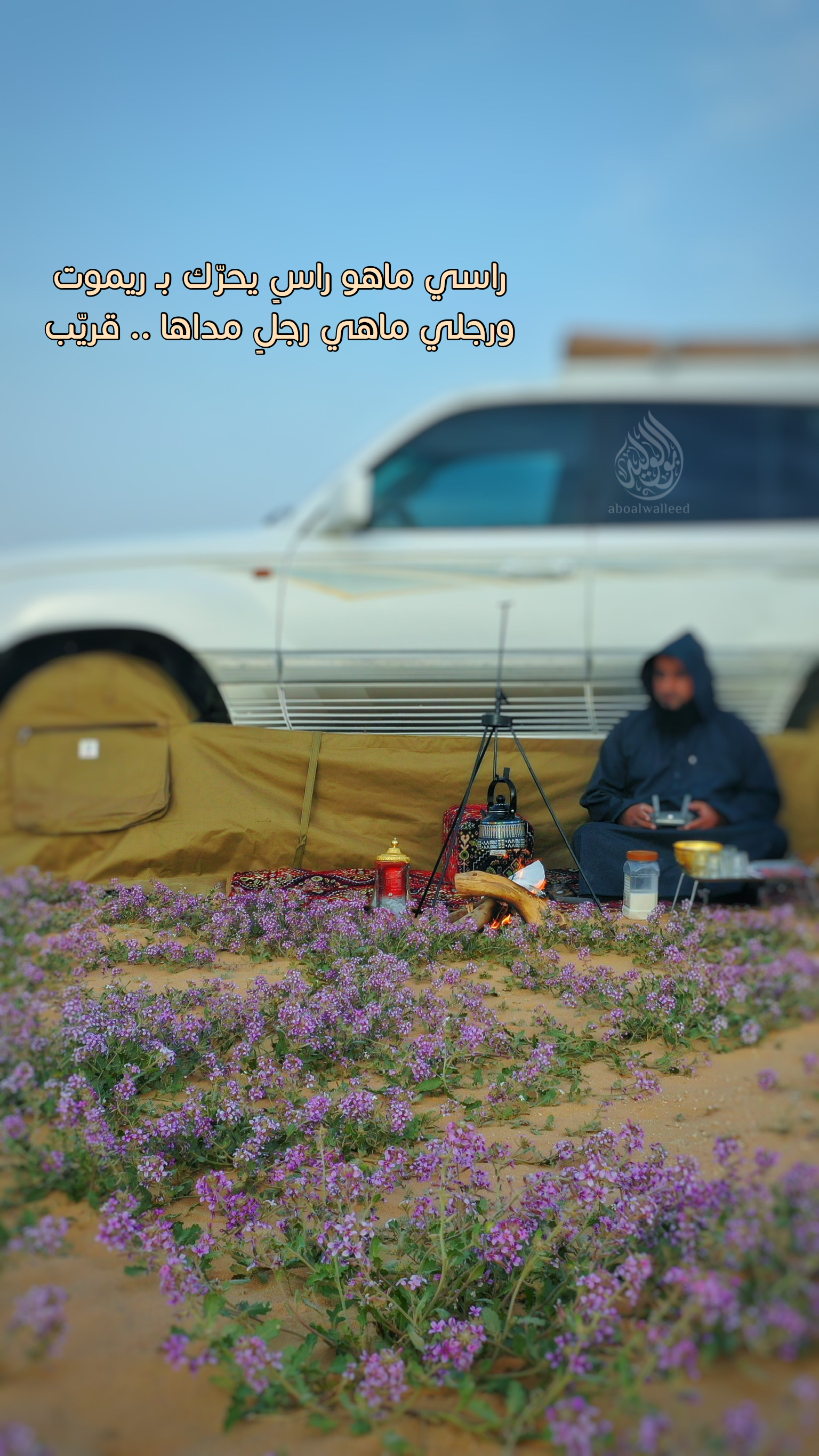 خلفية رقم 77