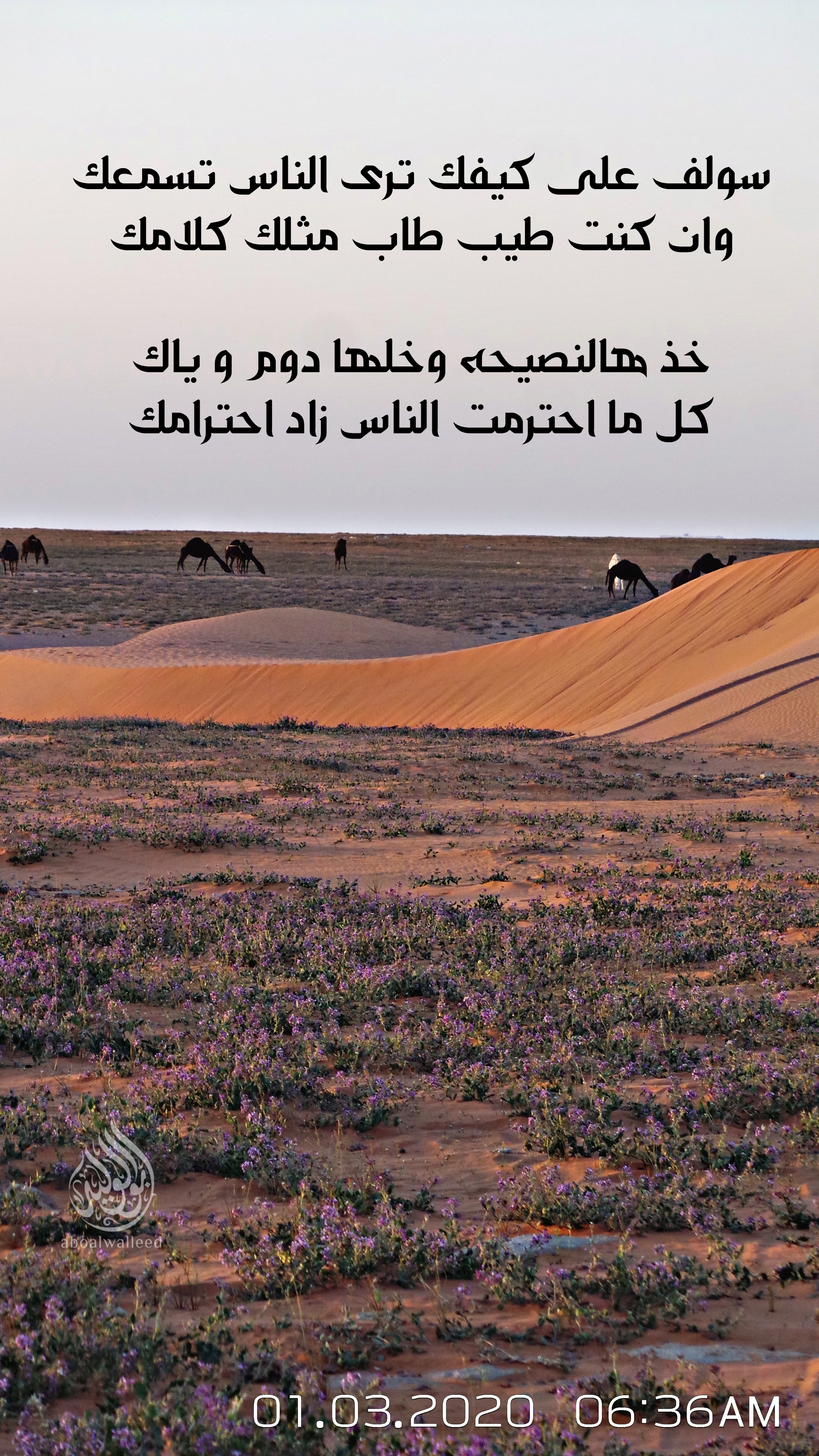 خلفية رقم 135