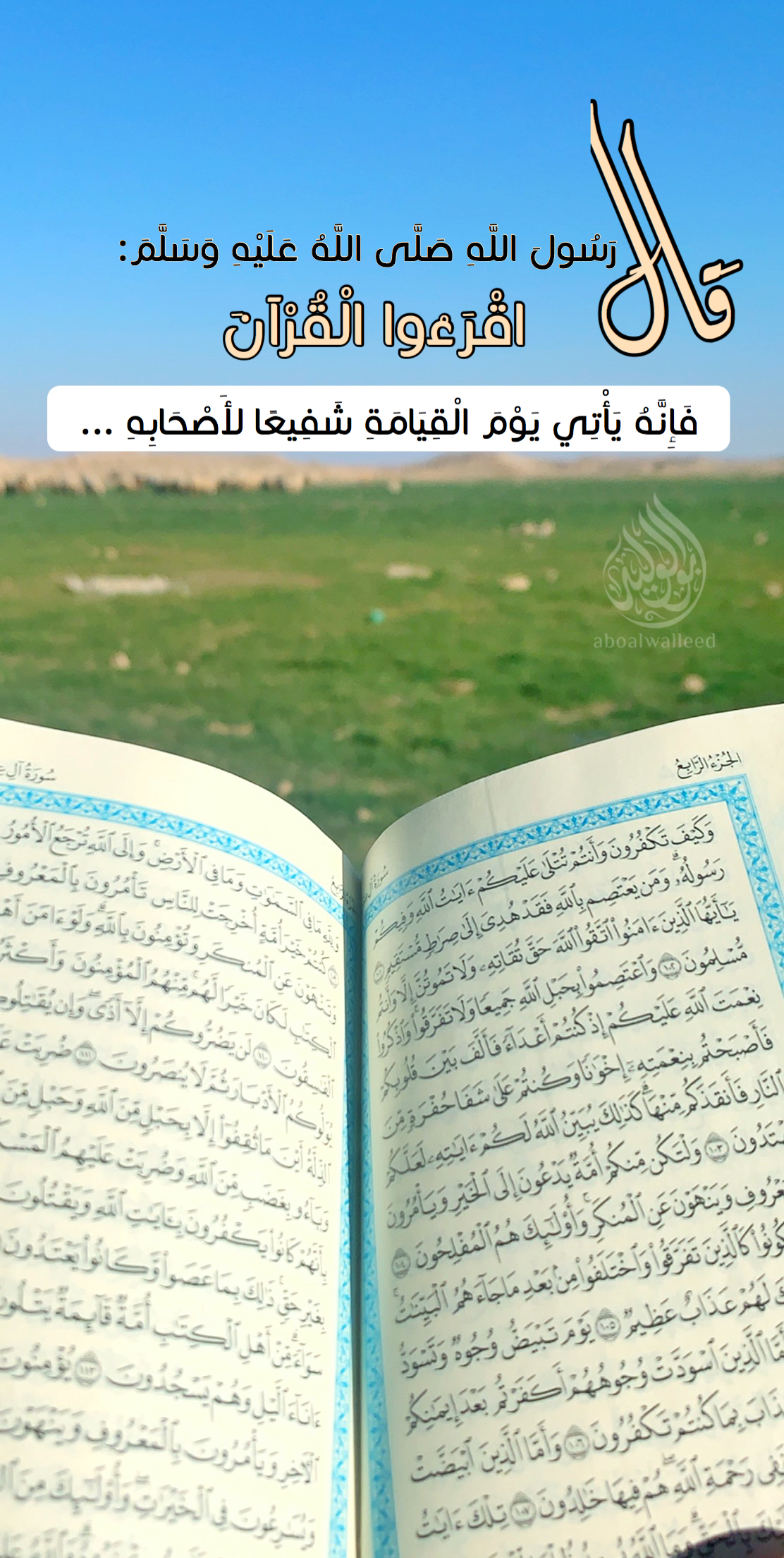 خلفية رقم 27