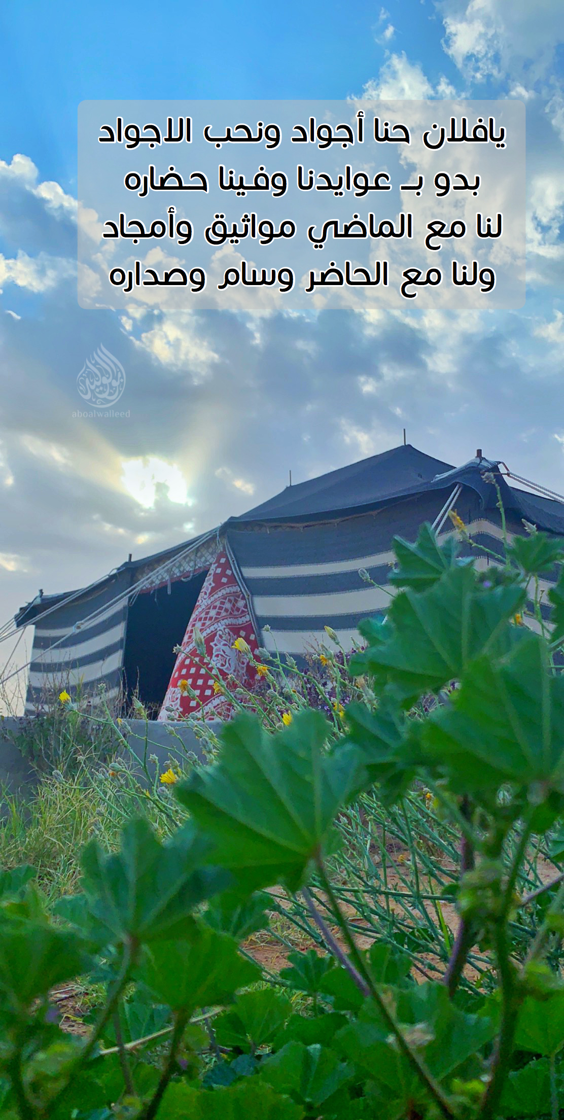 خلفية رقم 43