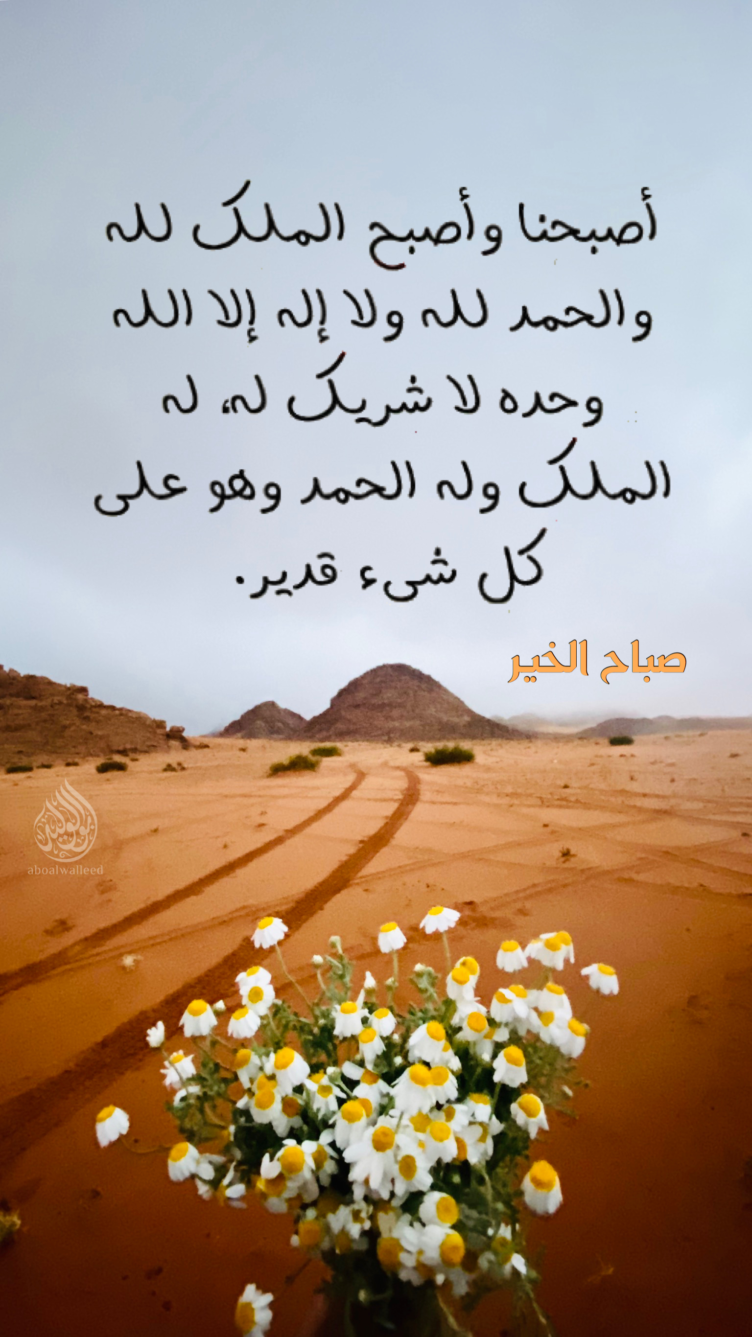 خلفية رقم 123