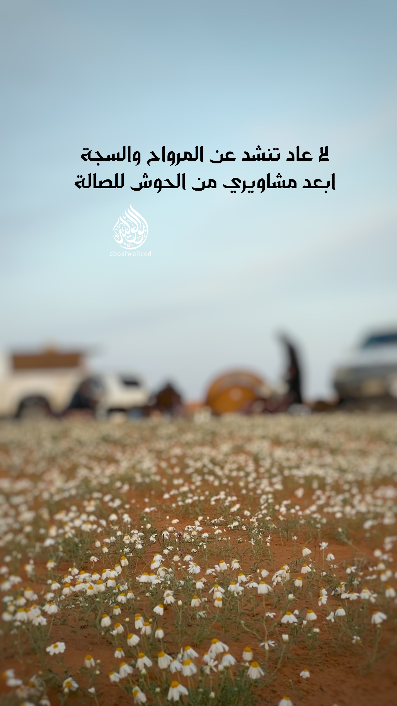 خلفية رقم 172
