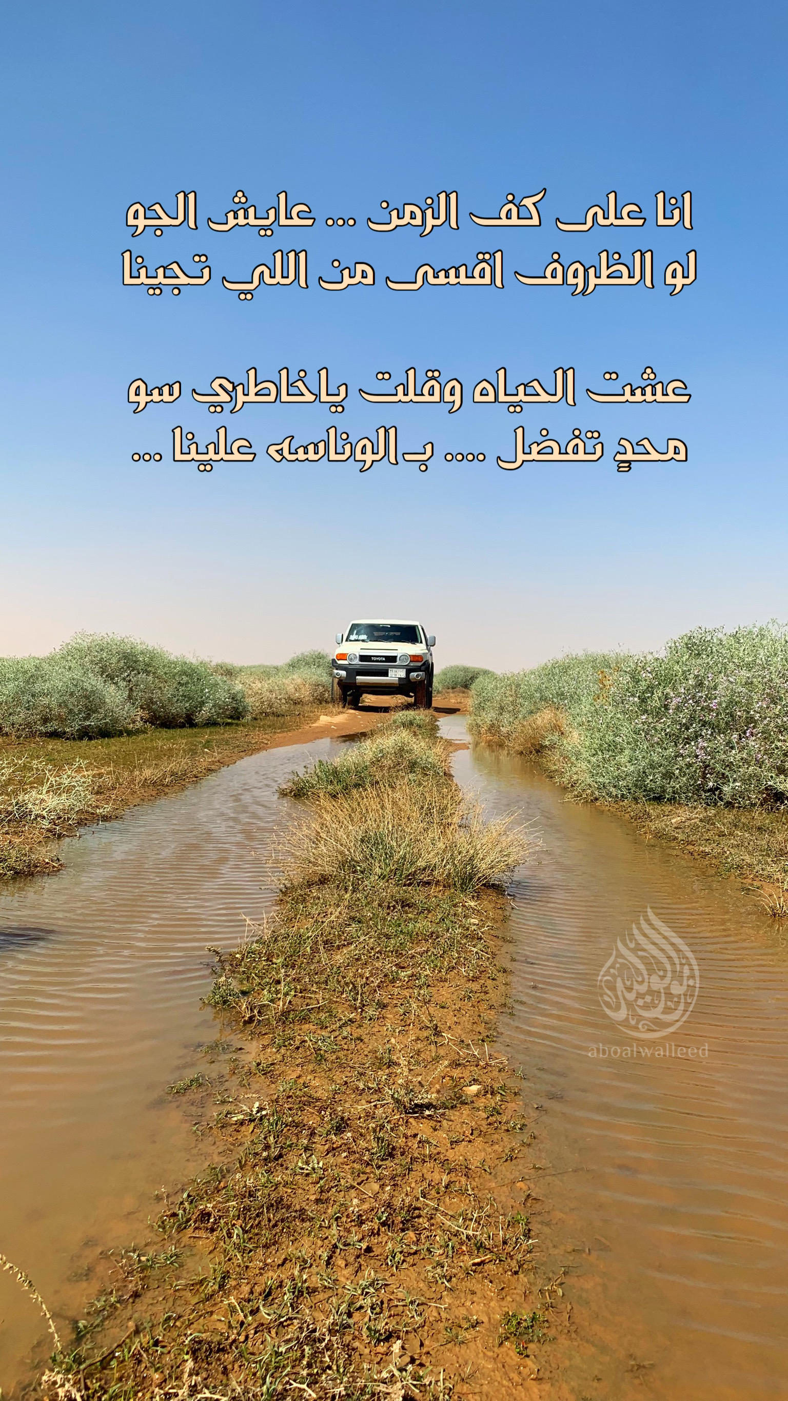 خلفية رقم 116