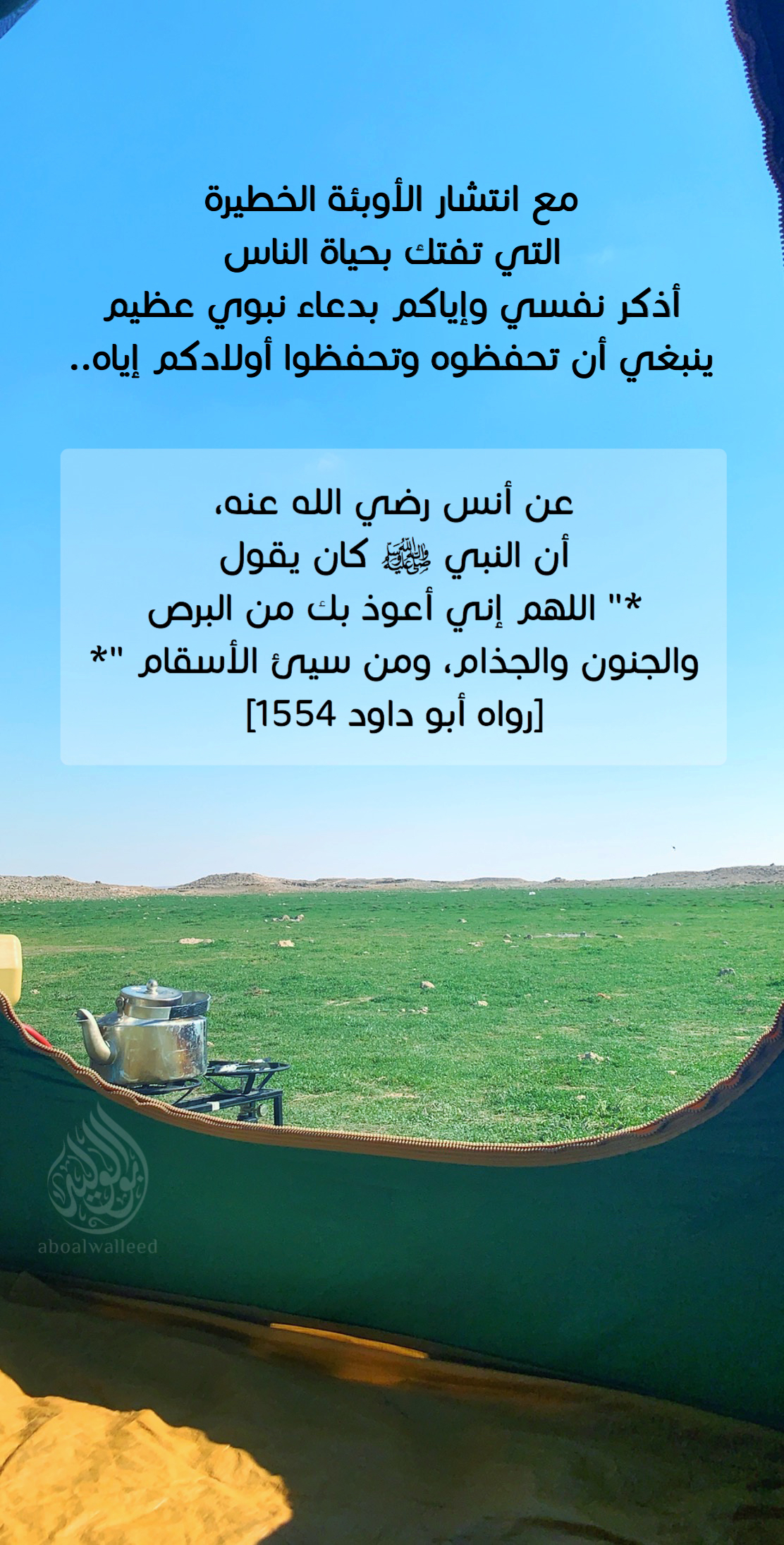 خلفية رقم 25