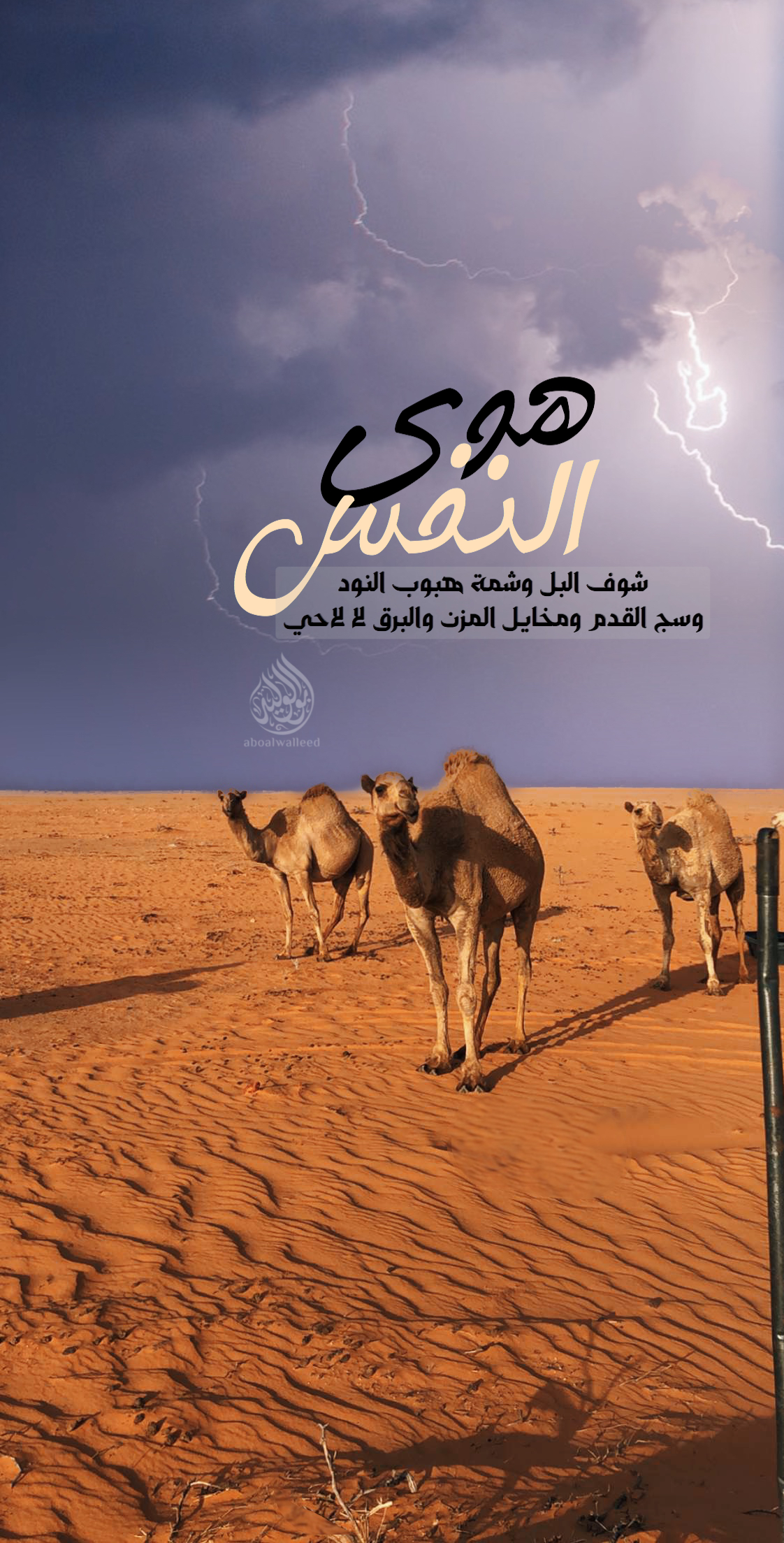 خلفية رقم 192