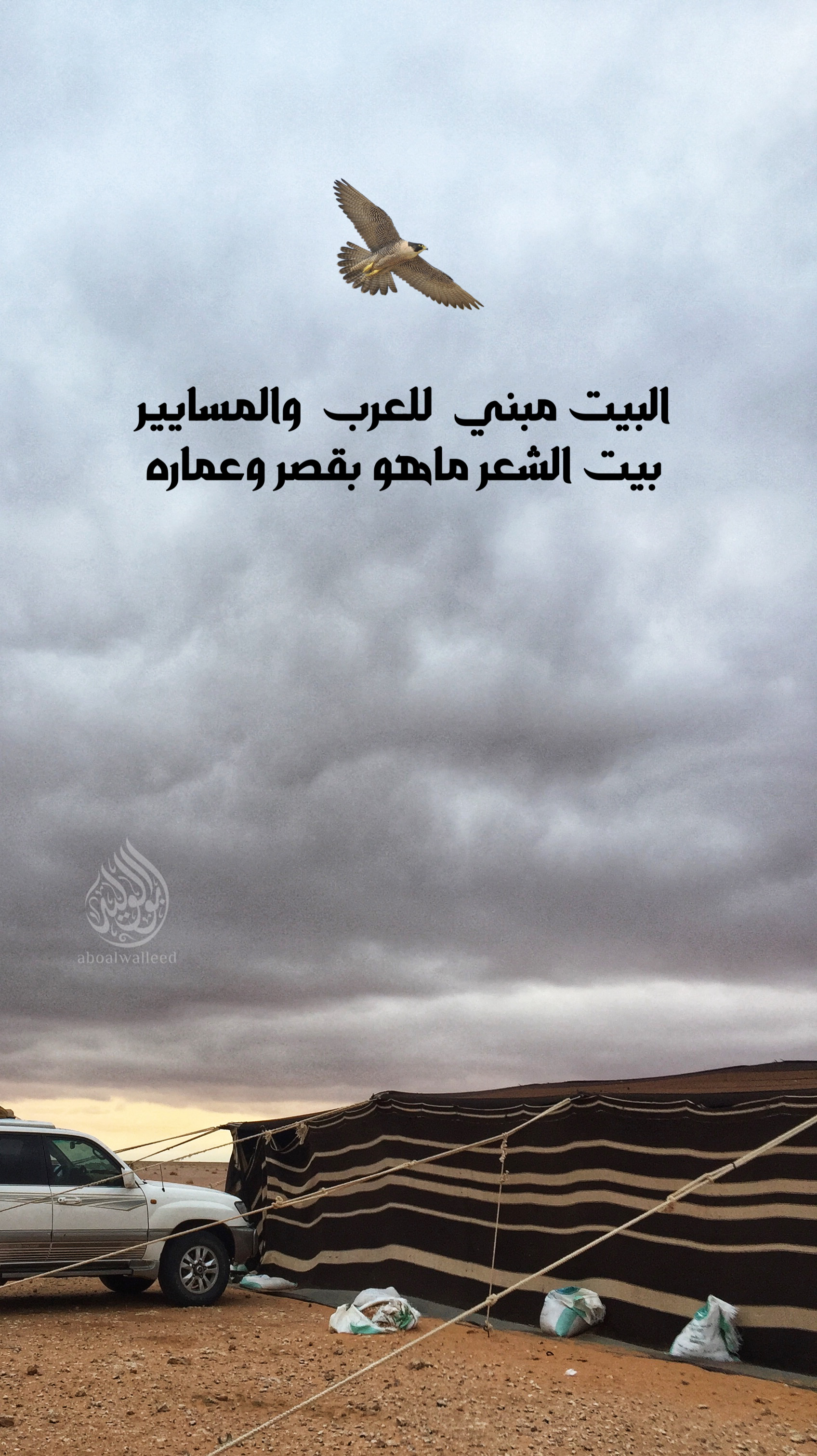 خلفية رقم 8