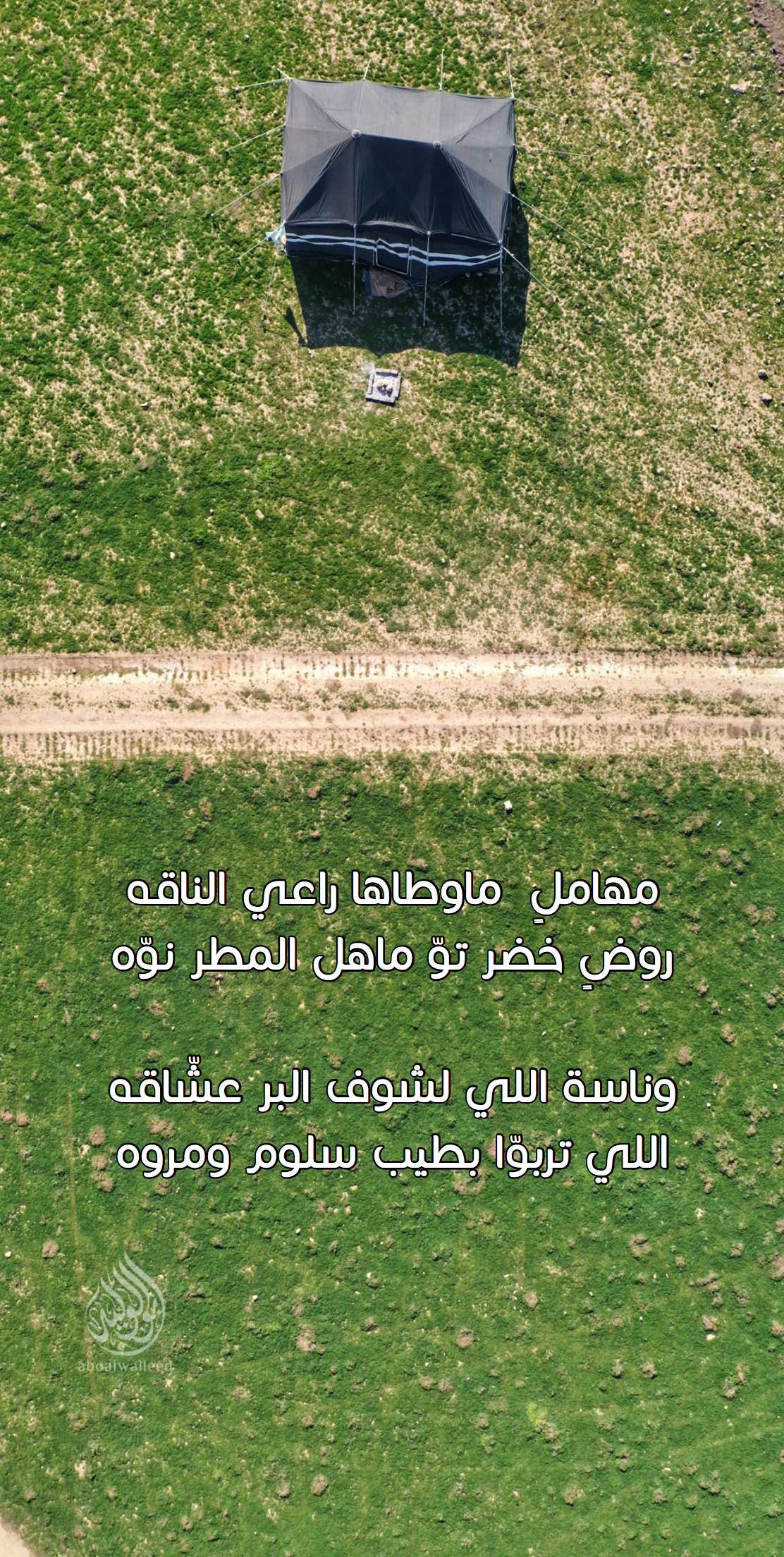خلفية رقم 30