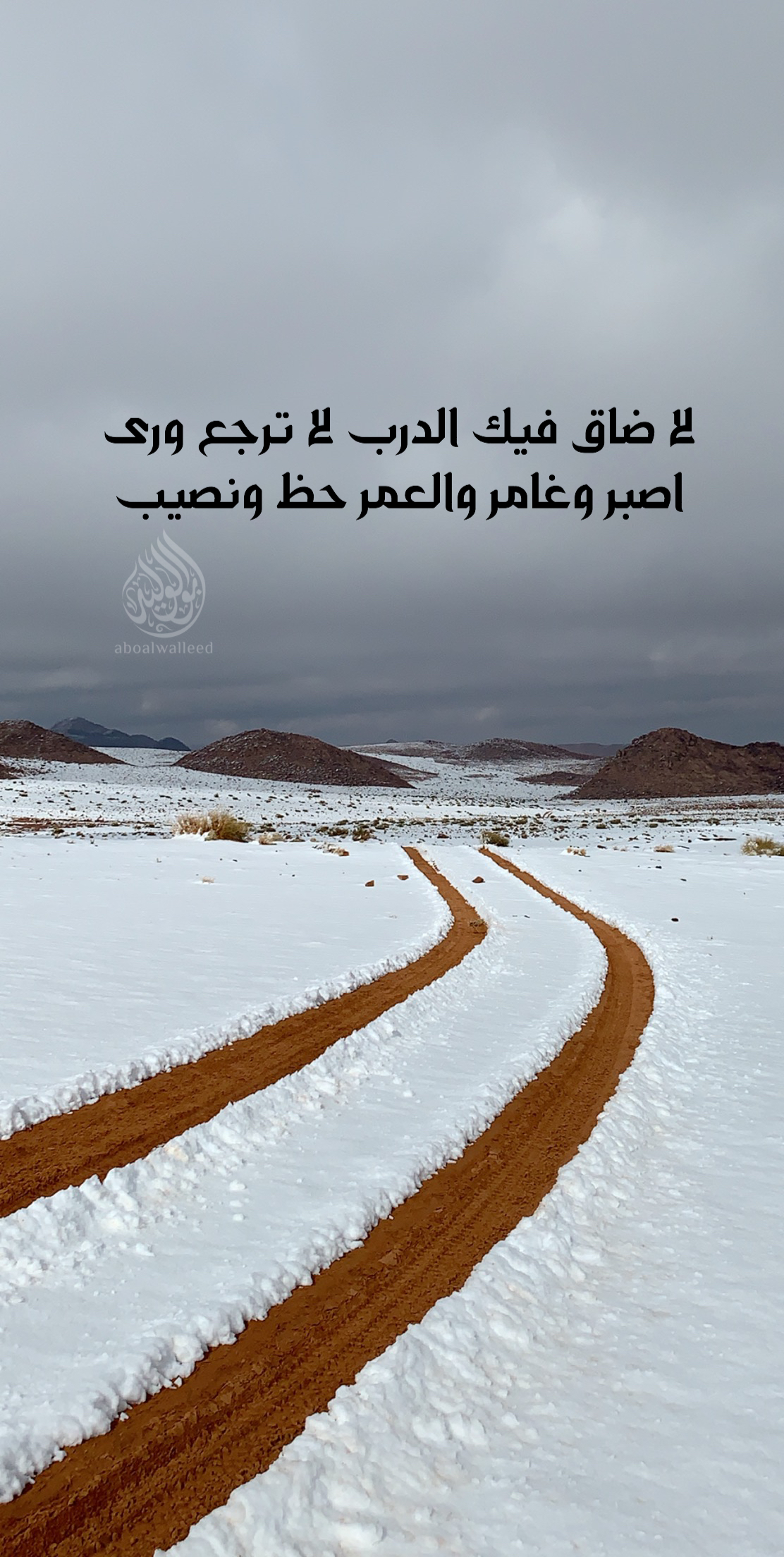 خلفية رقم 144