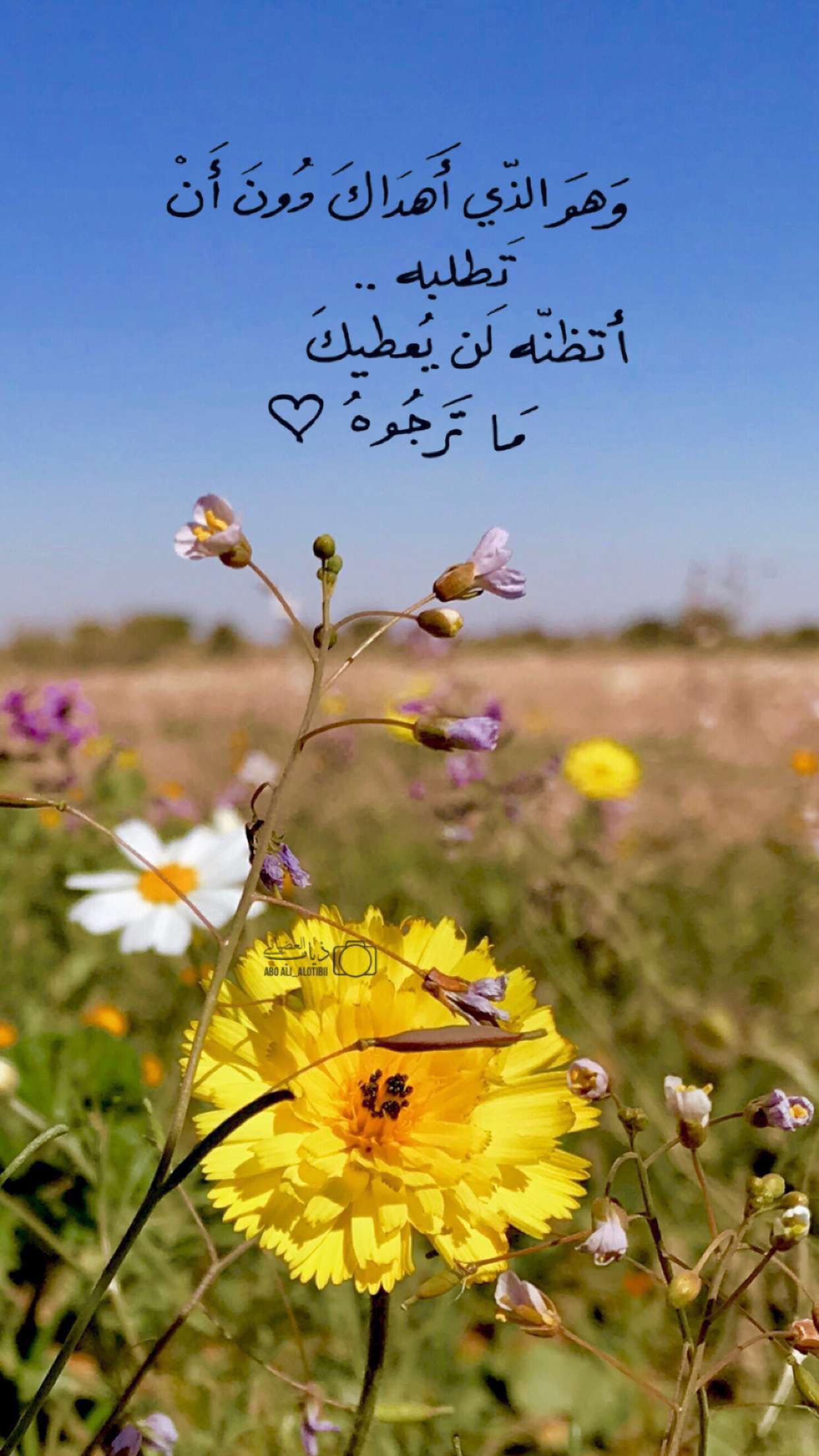 خلفية رقم 76