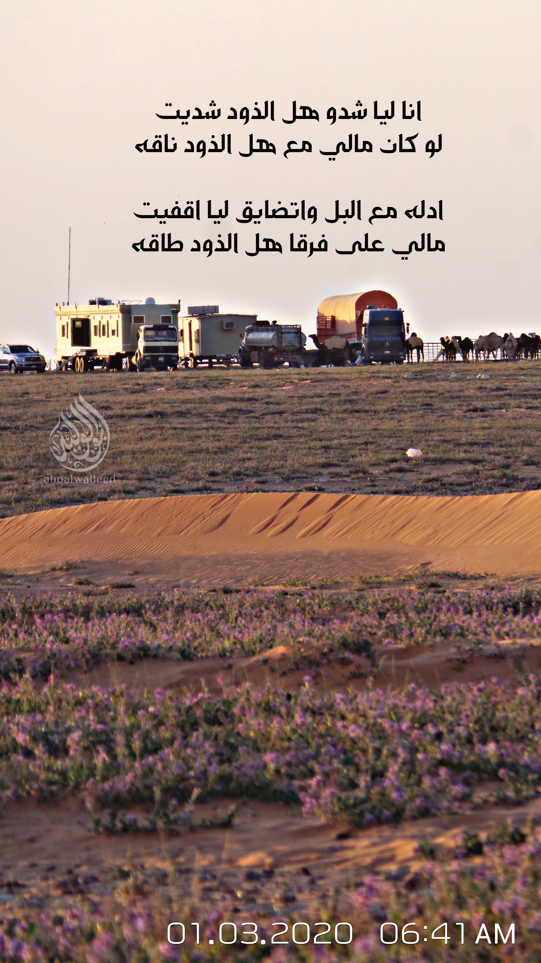 خلفية رقم 137