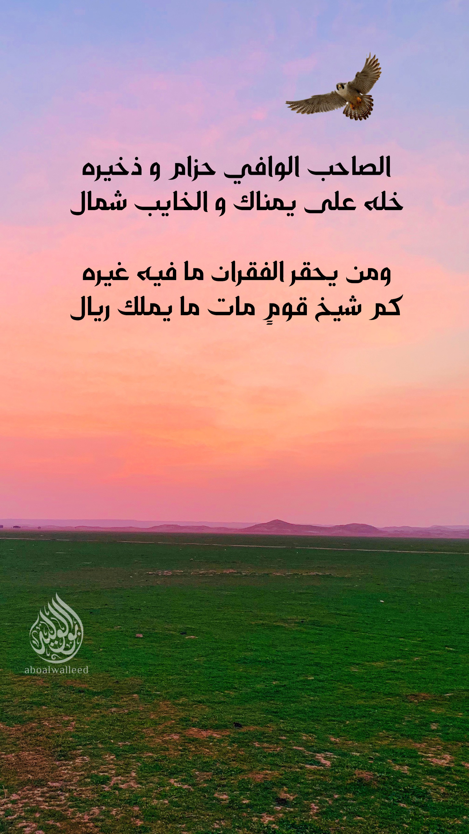 خلفية رقم 113