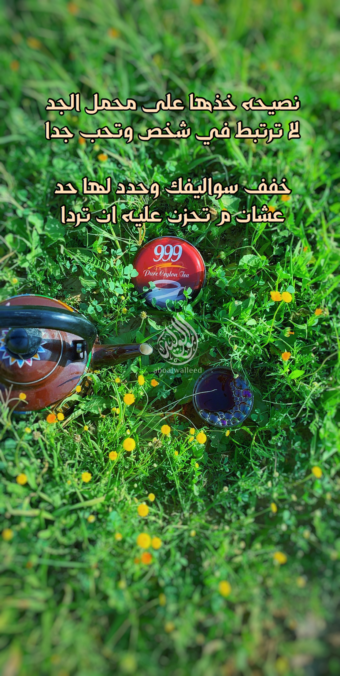 خلفية رقم 147