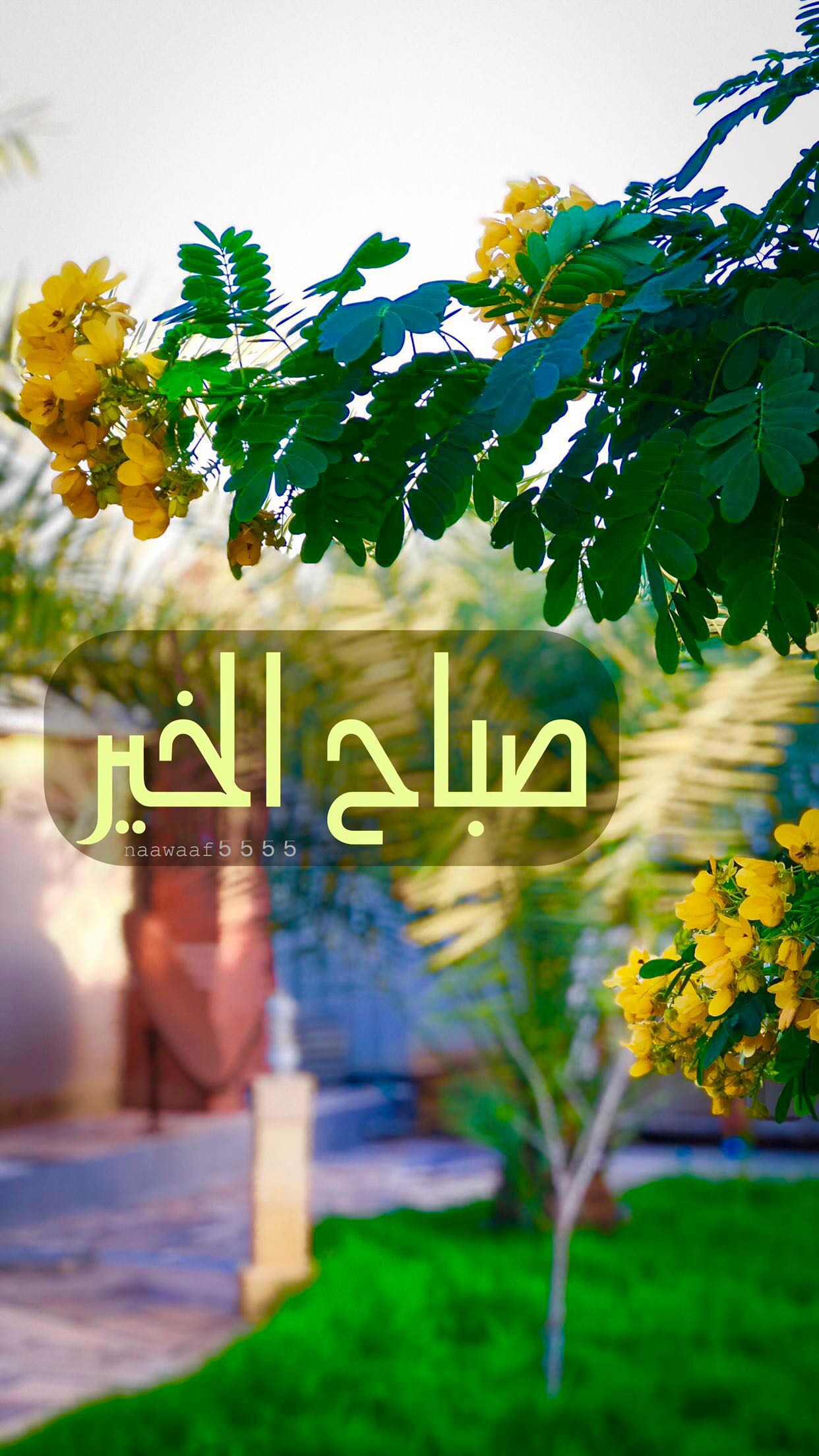 خلفية رقم 39