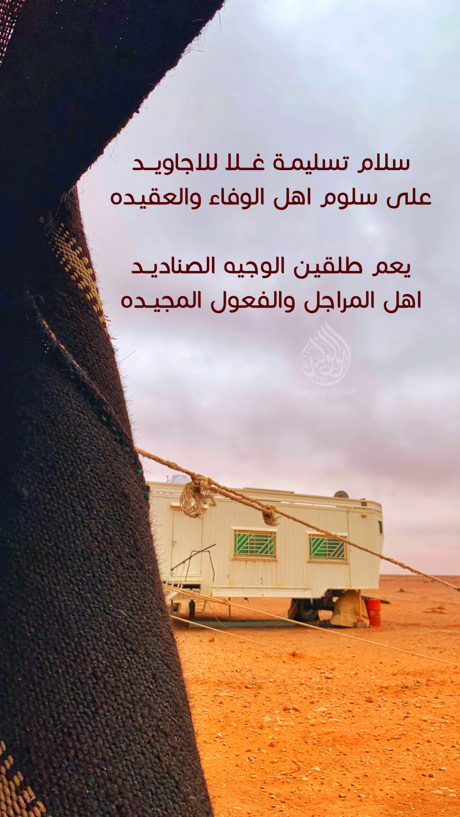 خلفية رقم 12