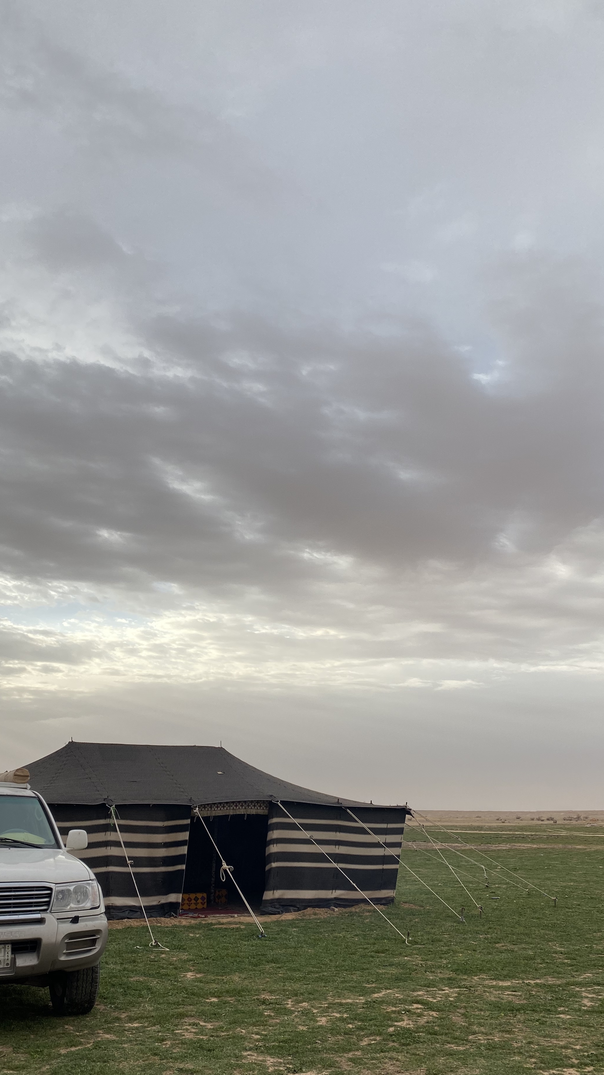 خلفية رقم 85