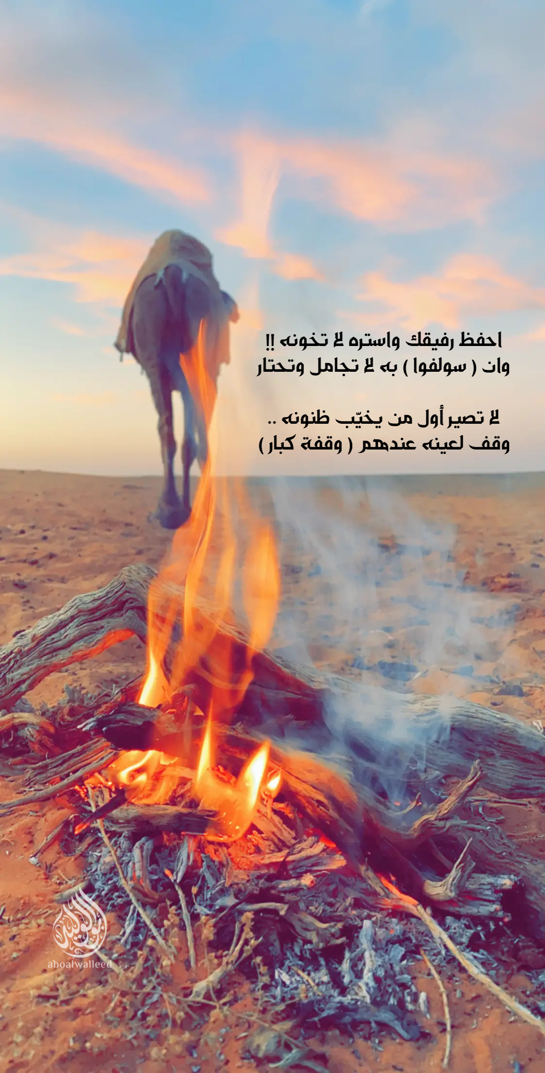 خلفية رقم 146