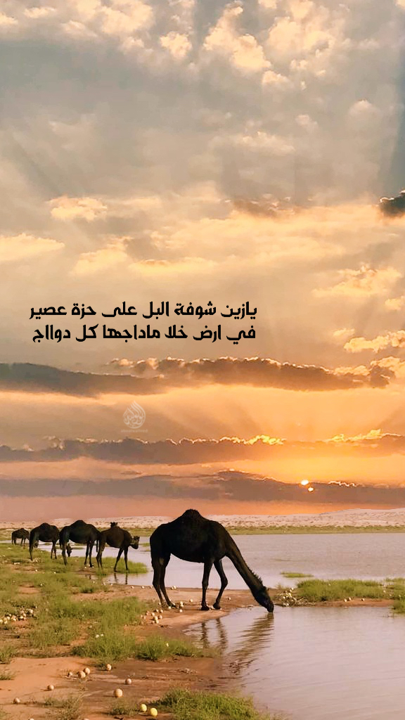 خلفية رقم 196
