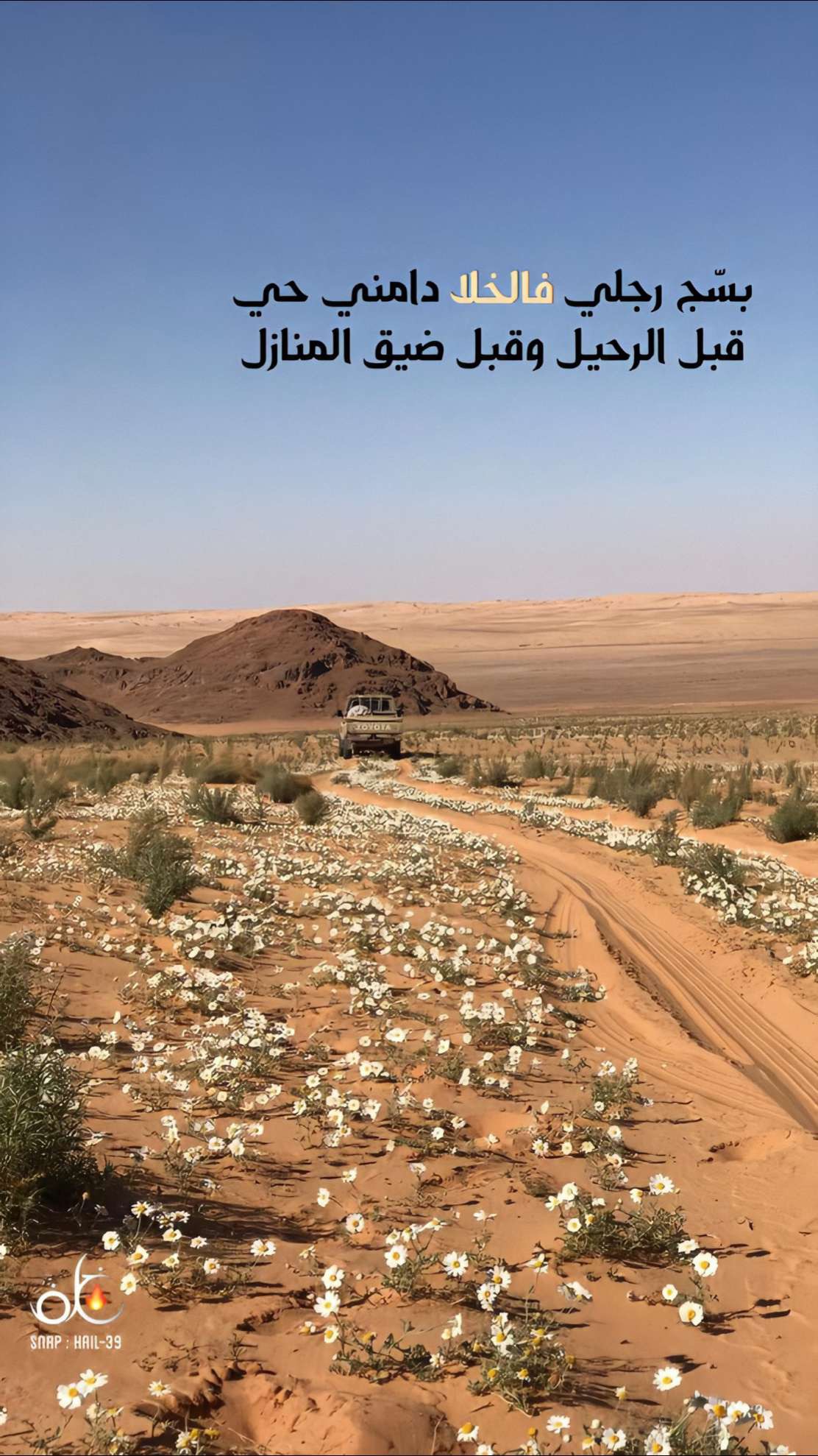 خلفية رقم 143