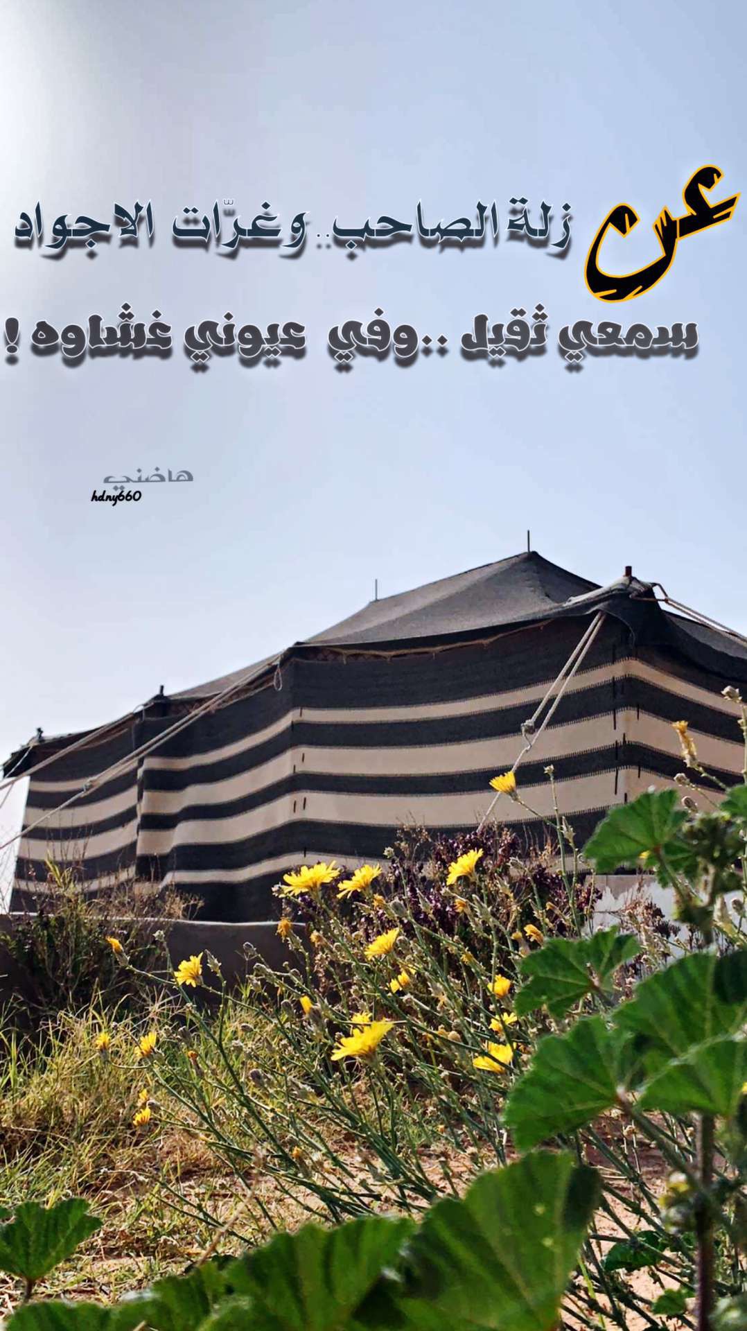 خلفية رقم 61