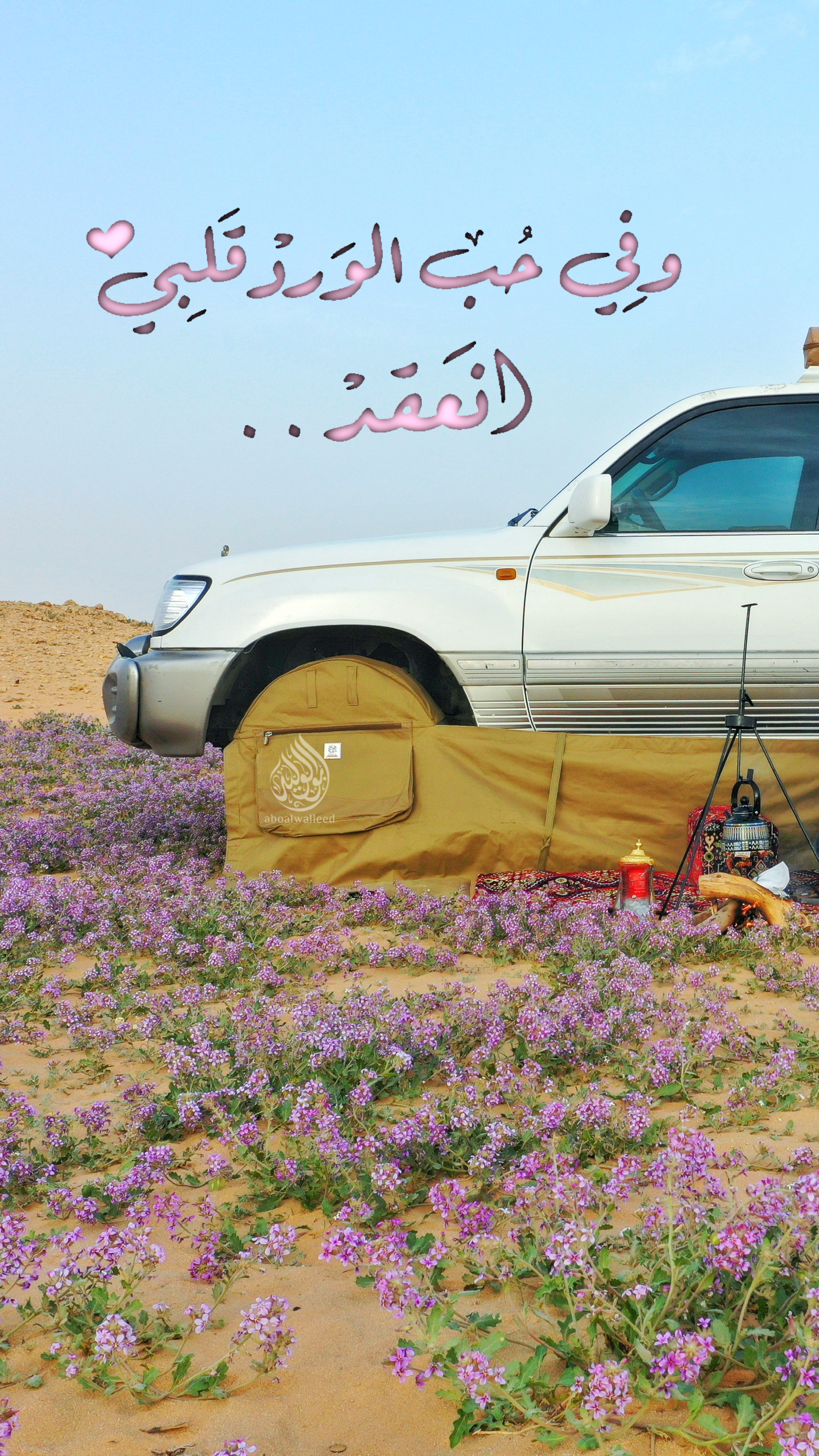 خلفية رقم 79