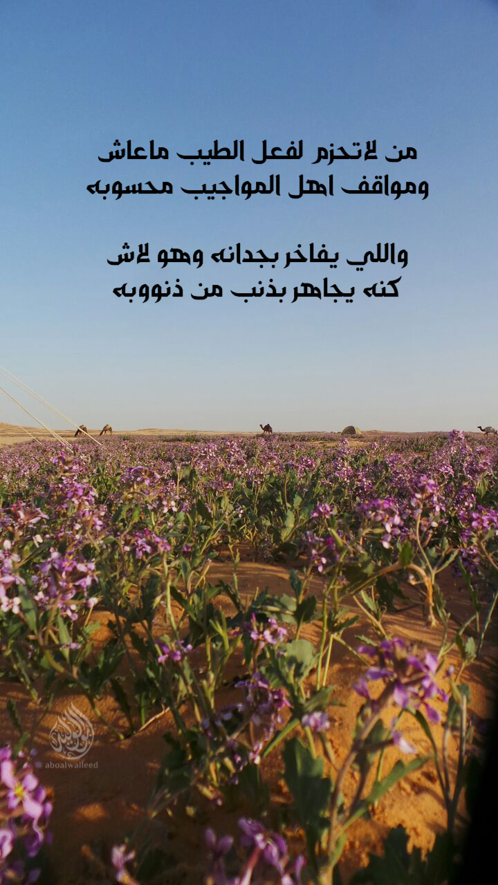 خلفية رقم 141